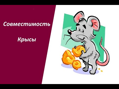 Совместимость Крысы по гороскопу со всеми знаками зодиака: между мужчиной и женщиной