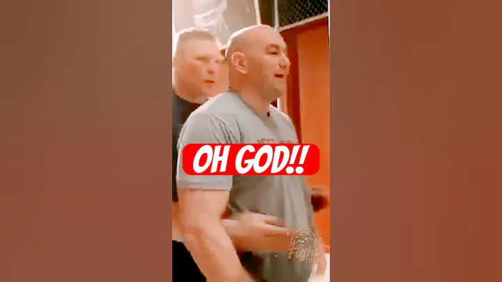 Brock Lesnar vs. Dana White  #ufc #mma #danawhite