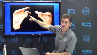 Perspetive: "Correcting" Posture and Alignment?