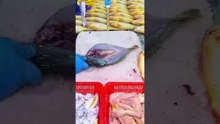 fish cutting process #shorts