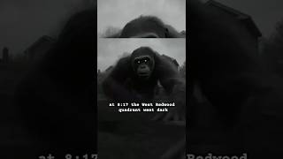 They TOOK the Grid Down #TheOtisProtocol #foundfootage #analoghorror