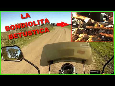 Video En busca de la mejor BONDIOLA por Colectora