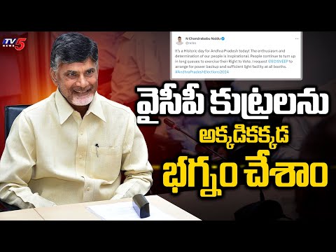 వైసీపీ కుట్రలను అక్కడికక్కడ భగ్నం చేశాం TDP Leader Nara Chandrababu Naidu | AP Election Polling |TV5 - TV5NEWS