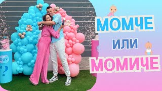 :    | GENDER REVEAL