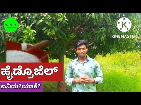 Hydrogel in agriculture