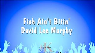Fish Aint Bitin - David Lee Murphy (Karaoke Version)