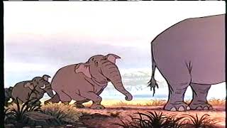 Opening To The Jungle Book 1991 Demo Vhs