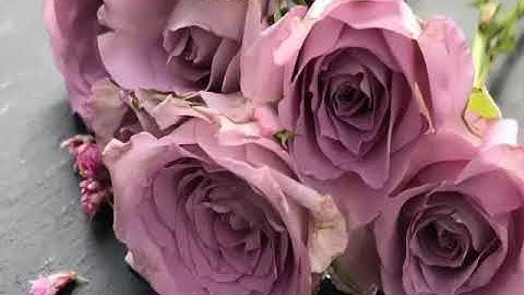 من أروع القصص/قصة المجادلة/التي نزلت فيها الآيات الاولى من سورة المجادلة