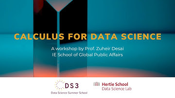 Data Science Summer School 2022 | Calculus for Data Science