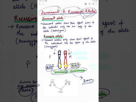 Video: Is aalwurmmiopatie resessief of dominant?