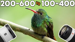 Sony 100-400 GM vs 200-600 G (3 weeks in Ecuador)