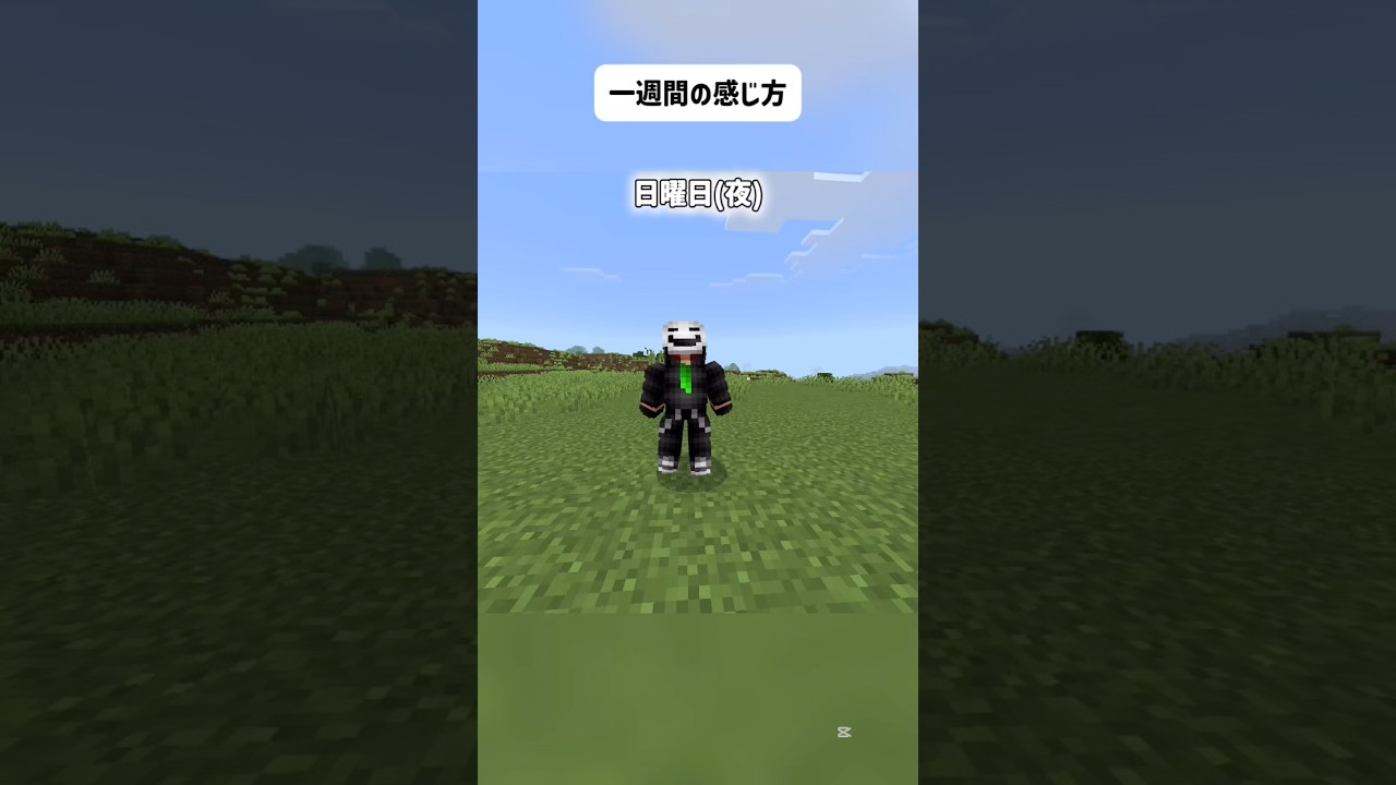 一週間の感じ方 【マイクラ】
