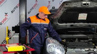 Kuinka korvata Ilmansuodattimet FIAT DOBLO Box Body / Estate (263) - opetusvideo