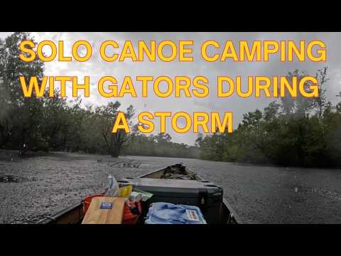 Overnight Solo Canoe Adventure on the Wild Suwannee River | Rain, Gators, and River Dog