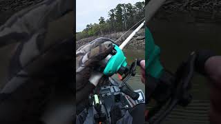 The sound of this topwater bait is insane! #bassfishing #fishing #kayakfishingtips #fishingmethods