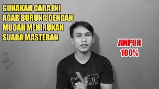 Cara efektif memaster burung dengan mp3 agak cepat masuk ke burung screenshot 3