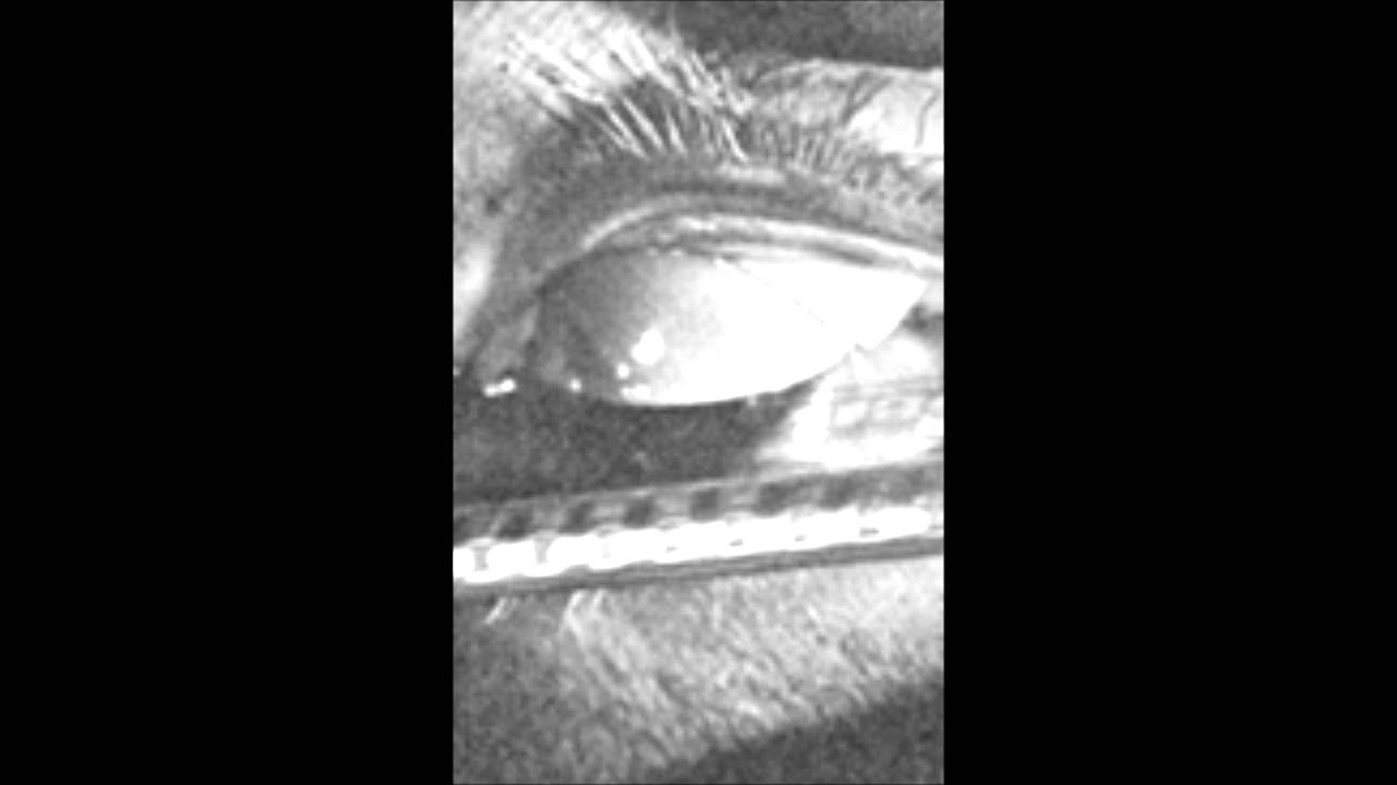 Ein andalusischer Hund Kritik (Crossover mit YouTube