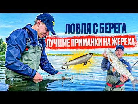 ЛУЧШИЕ ПРИМАНКИ НА