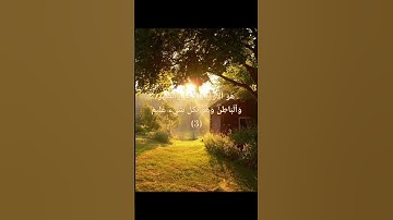 اللهم اجعل القرآن الكريم ربيع قلوبنا و نور صدورنا و جلاء همومنا يارب 💛💚 #سورة_الحديد