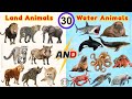 30 Land and Water Animals for Kids 🌍🐘🐠 | Learn Animal Names &amp; Sounds | STEM Learning Video