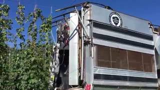 Elk Mountain Farms Hop Picker Harvesting Saaz Hops