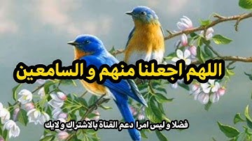 أرح قلبك و سمعك تلاوة عطرة من سورة الطور تريح القلب و النفس اللهم اجعلنا منهم #تلاوة_خاشعة #قران