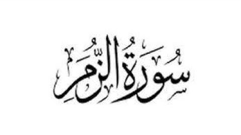 ما تيسر من سورة الزمر قي صلاه المغرب عمرو حسني نسأل الله القبول 😍