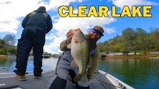 SUCCESS at The Big Pond | Clear Lake Bass Fishing