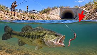 I Tested if Roadside Ditches Actually Hold Big Fish