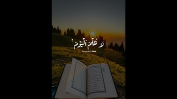 إذا التلاوة لمست قلبك| اكتب شيء تؤجر عليه😮💨🤍❤️🩹