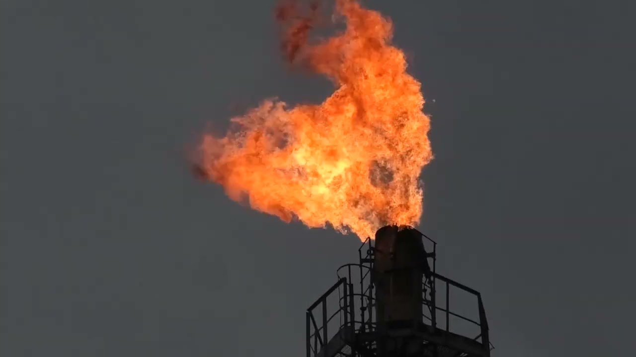 Экодозор ВООП