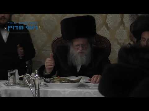 עו"ד דוד זעירא | מודז'יץ - הושענא רבה תשע"ט -  02 במוצאי יום מנוחה