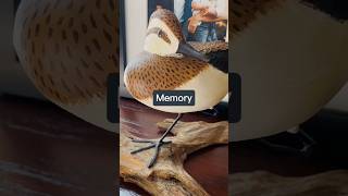 A stranger, some branches, and memories