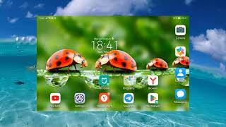 Android Frutriger Aero Customization screenshot 1