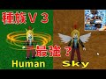 種族V3最強?ヒューマン、スカイ入手方法 How to get human, sky V3 Blox Fruits攻略その46【ROBLOX(ロブロックス)】
