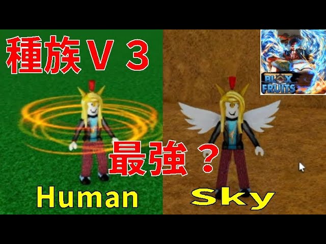 The Strongest Race in V3? How to Get Human and Sky V3 Blox Fruits
