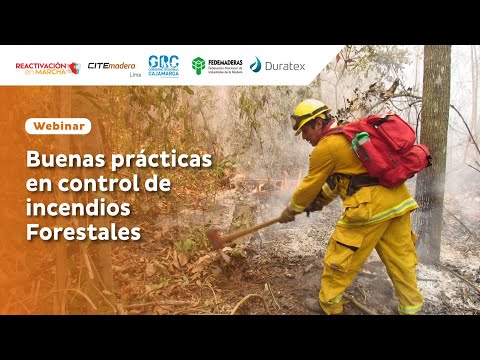 Vídeo: Bungie Recauda 1 Millón De Dólares Para Ayudar A Los Incendios Forestales En Australia