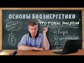 1. Что такое энергия. Основы Биоэнергетики.