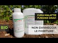 BioRame 18 e 20BioR
