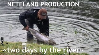 Laksefiske Salmonfishing Two Days By The River Vosso River Neteland Production