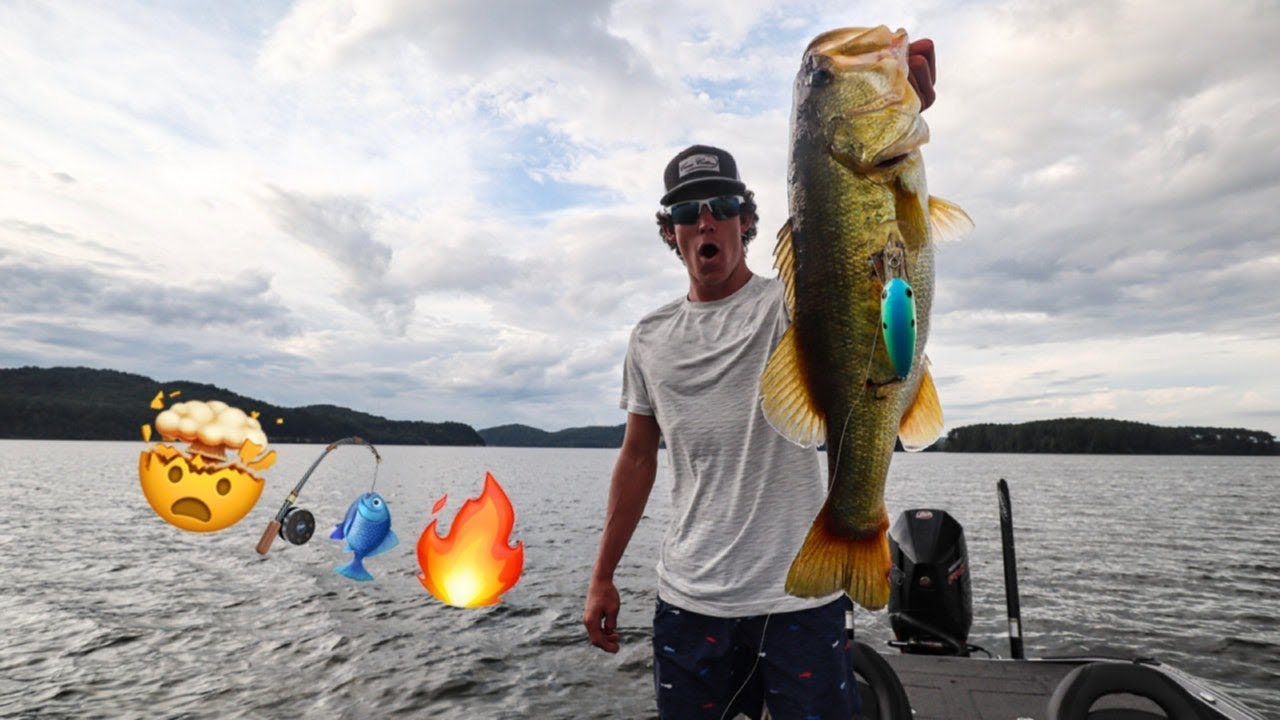 How to catch the BIGGEST BASS in a school + (Ledge Fishing Hack)