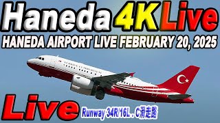 🔵 Live 羽田空港ライブ Haneda Airport Live February 19, 2025  生中継 2025年2月19日 羽田空港ライブカメラ