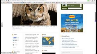 Read & Write Extension for Google - How to use