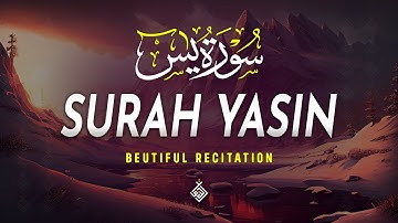 Let This Heavenly Voice Soothe Your Mind | Surah Yasin (Yaseen) سورة يس | Al-Taqwa TV