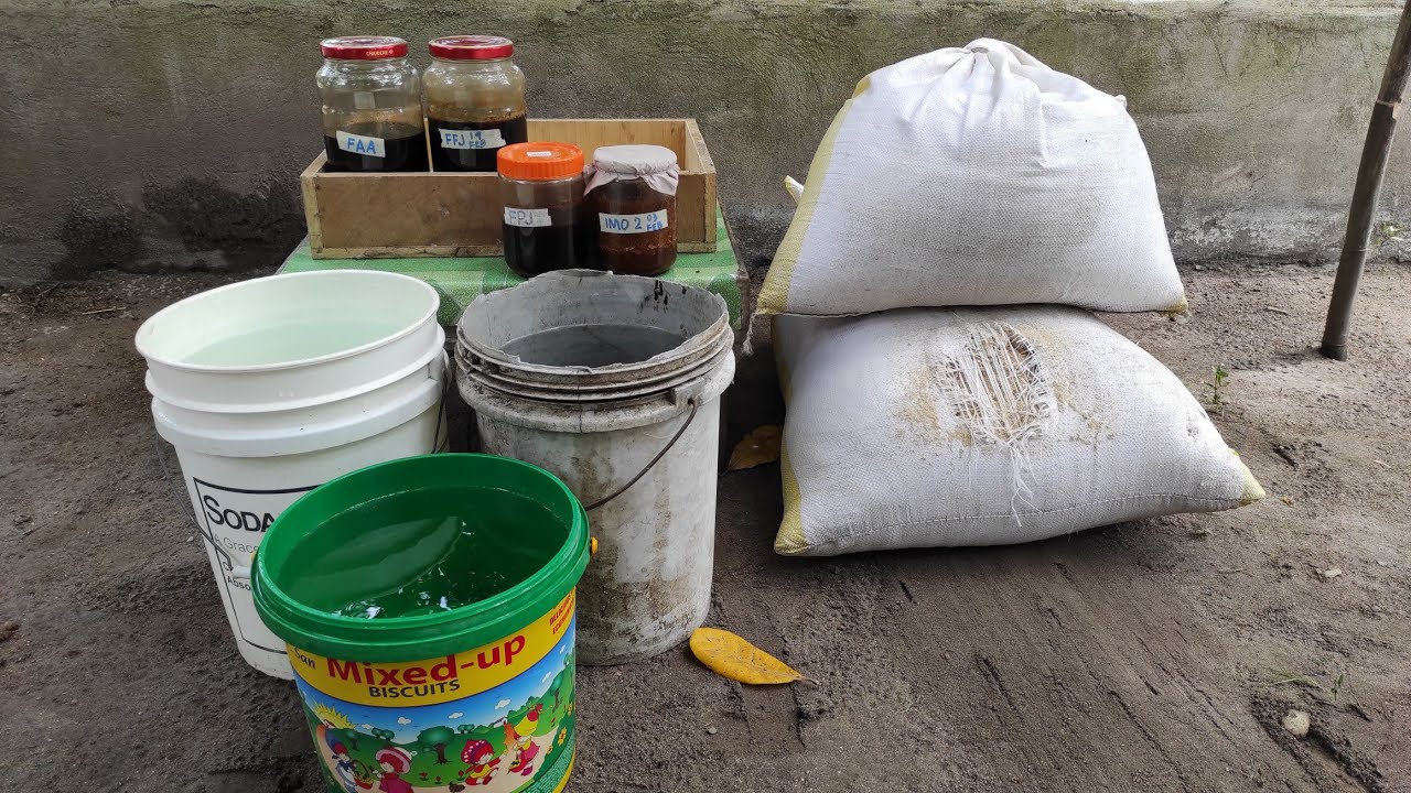 Paggawa ng IMO 3 | Indigenous Microorganisms 3