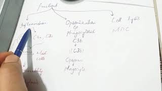 Complement System part( 2) | Robbins pathology chapter 3 | Quick and easy review