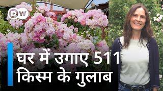 जर्मनी की हैरिटेज वैली में 511 किस्म के गुलाब [511 varieties of roses in Upper Middle Rhine Valley]