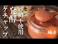 発酵ケチャップ【発酵食品】【砂糖不使用】