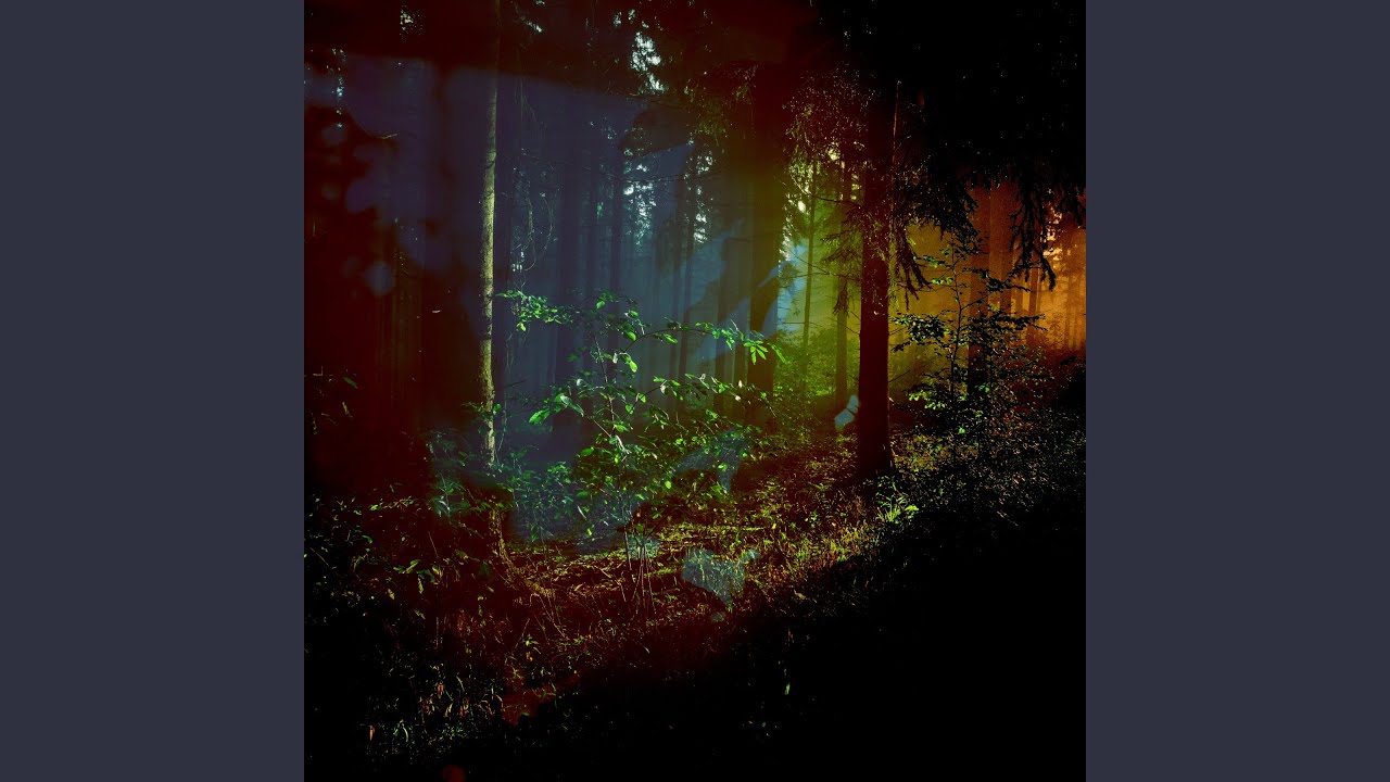 Warmth Within the Wind