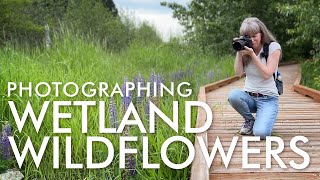 A Peaceful Walk in the Wetlands of Northern Idaho 🌱 PHOTO ADVENTURE by Love that Shot 518 views 1 year ago 5 minutes, 21 seconds